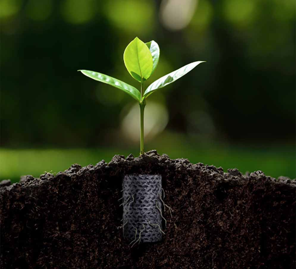 995x905 ellepot in soil_moblie.jpg