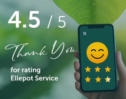 Ellepot Service in top class
