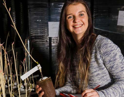 Ilke Joins R&D, Ellepot