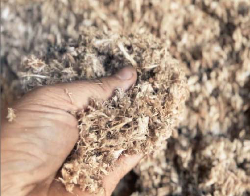 Ellepot innovation reducing peat in horticulture