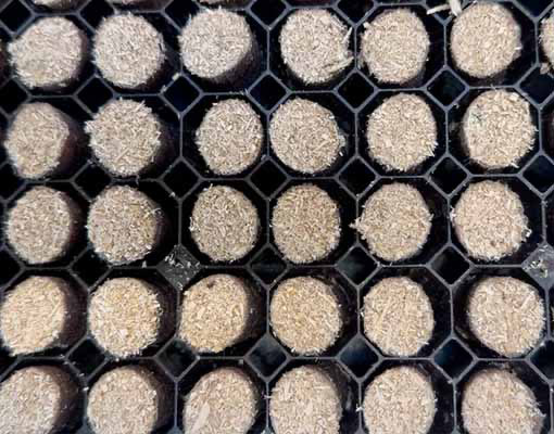 Ellepot Wire Cutter Paper Pots