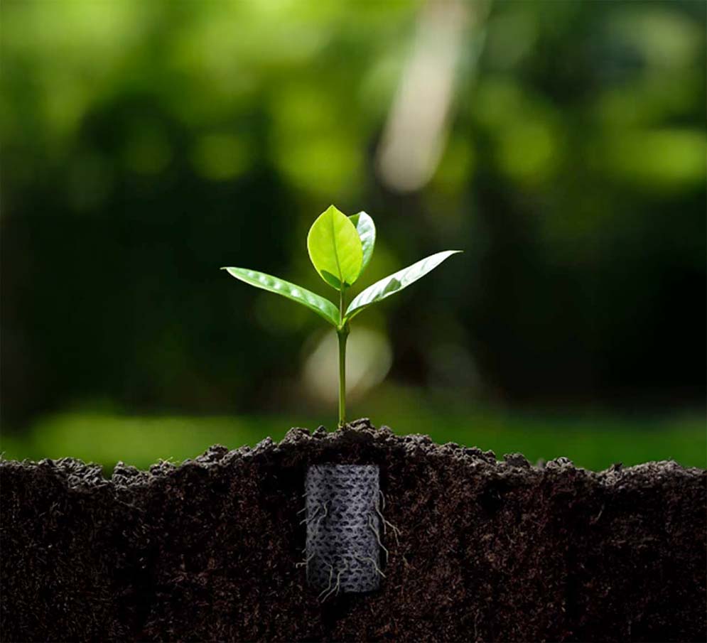 Ellepot paper is the sustainable choice for the future of propagation