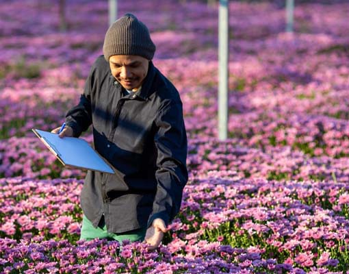 510X400 Ellepot Propagation Cut Flowers